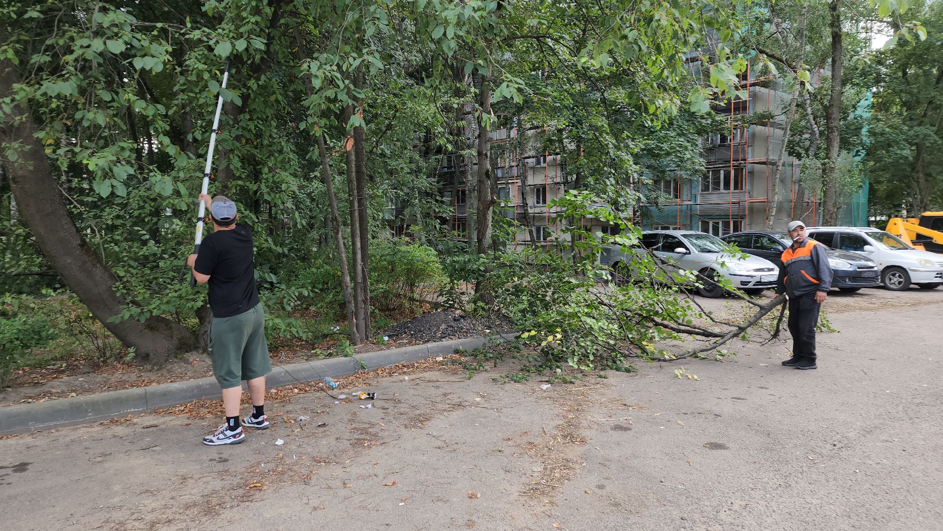 обрезка деревьев, пушкино, благоустройство, коммунальная служба,
