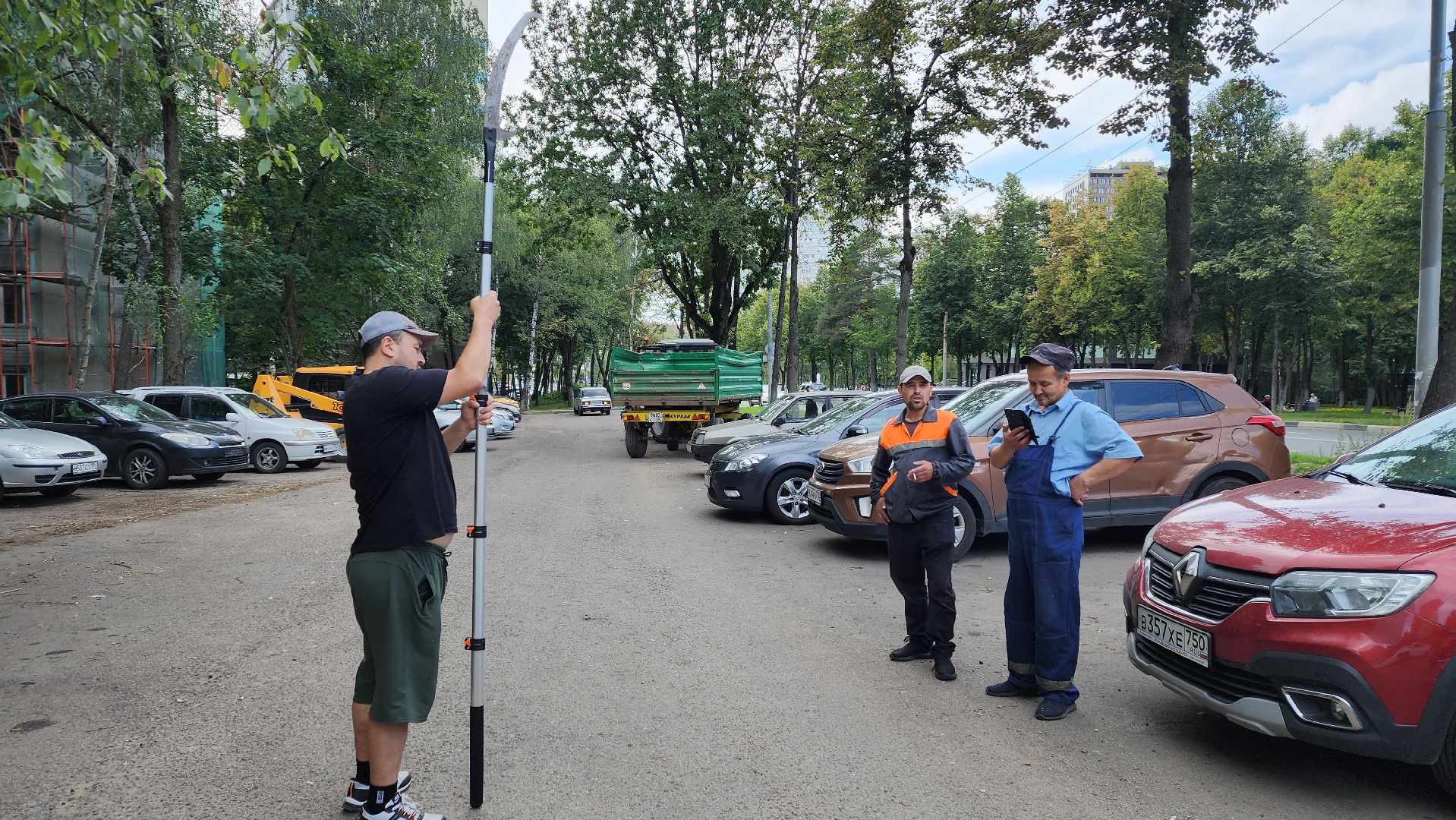 обрезка деревьев, пушкино, благоустройство, коммунальная служба,