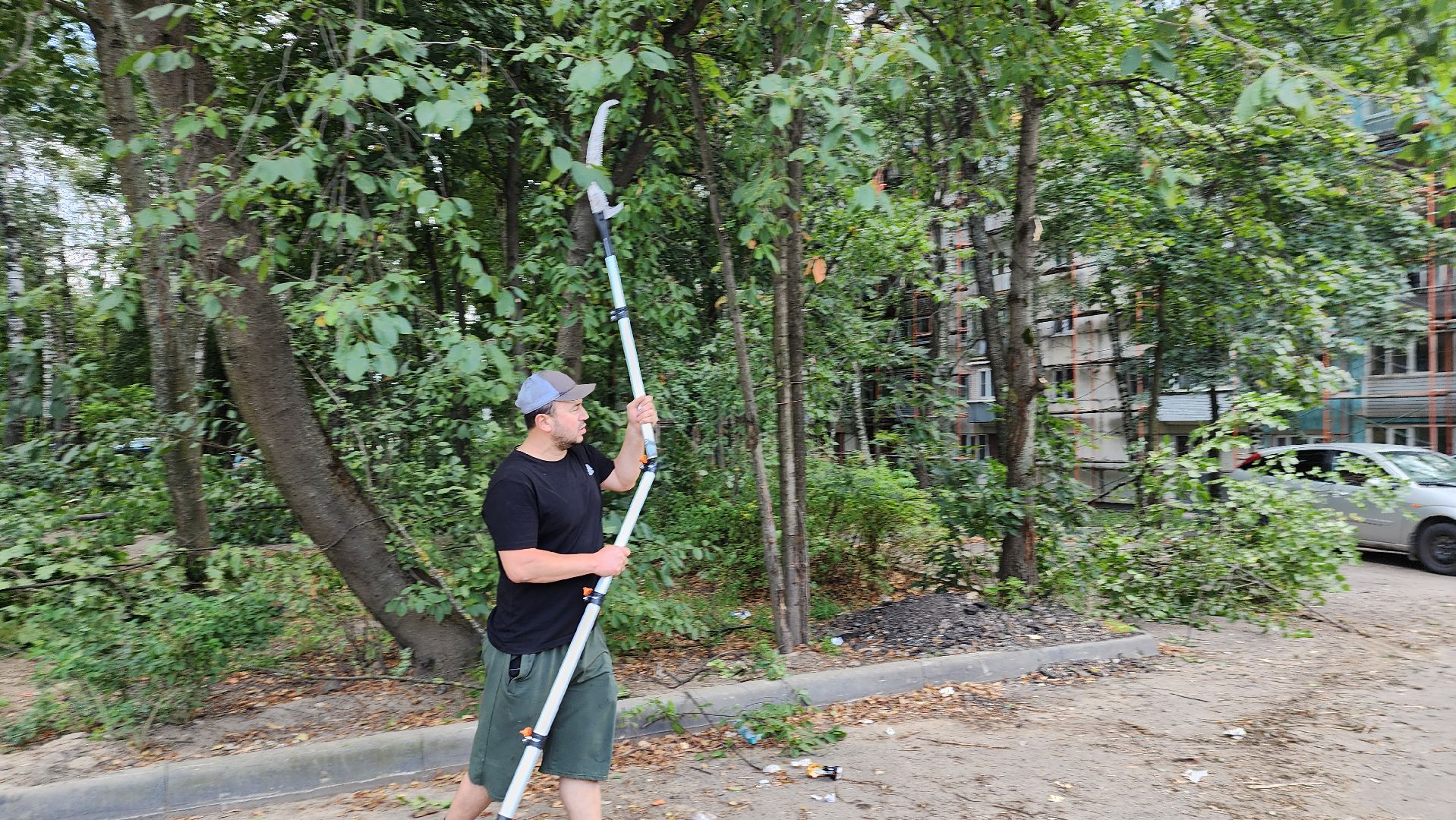 обрезка деревьев, пушкино, благоустройство, коммунальная служба,