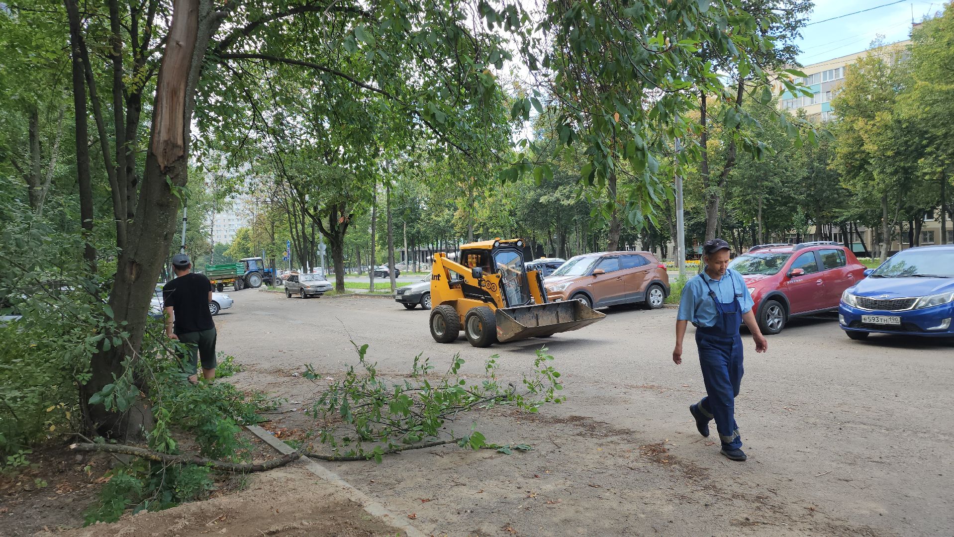 обрезка деревьев, пушкино, благоустройство, коммунальная служба,