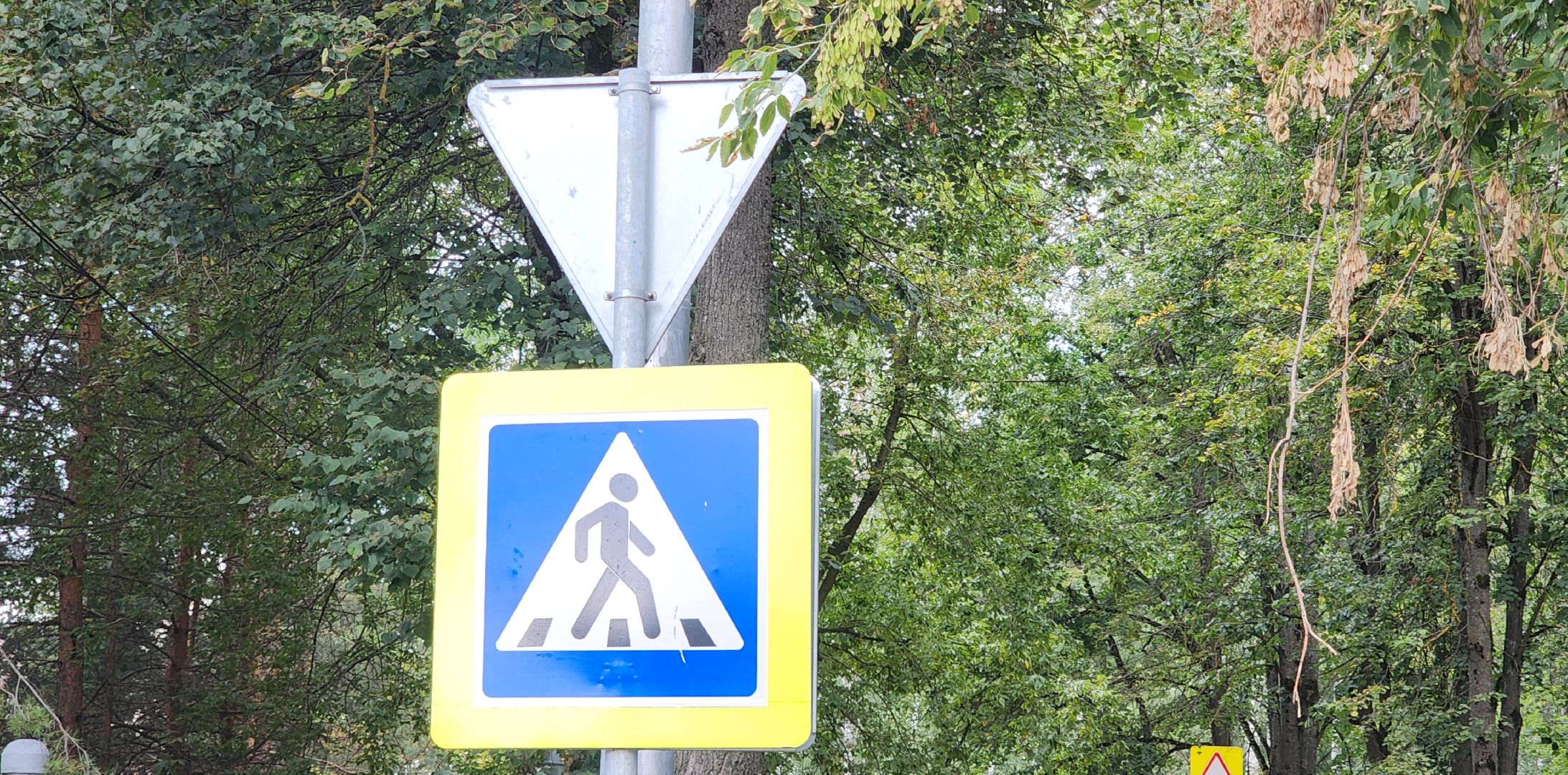 Звенигород, Дороги, Безопасность,