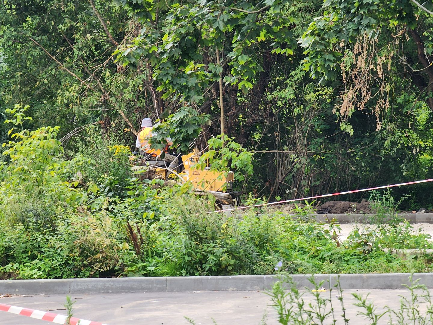 ногинск, комплексное благоустройство, благоустройство дворов, ремонт, жители, общество,