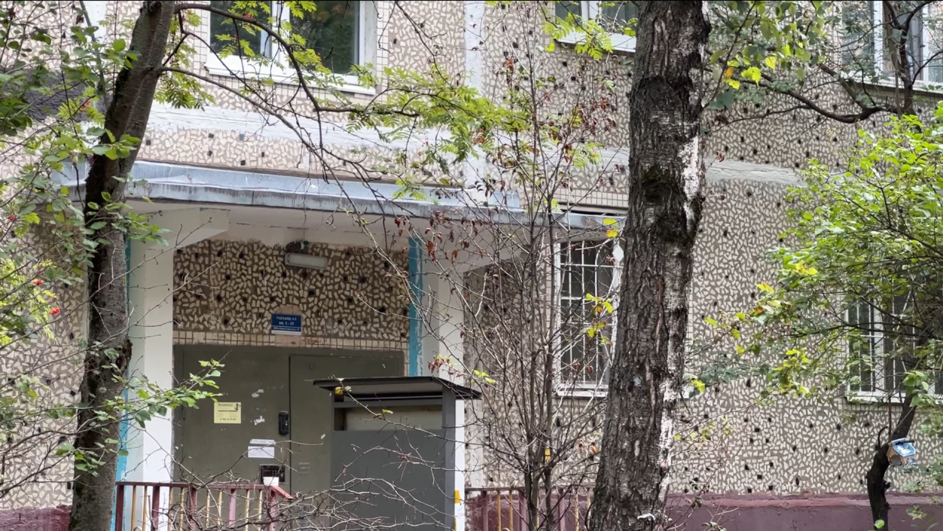 химки, жкх, ремонт подъездов, текущий ремонт,