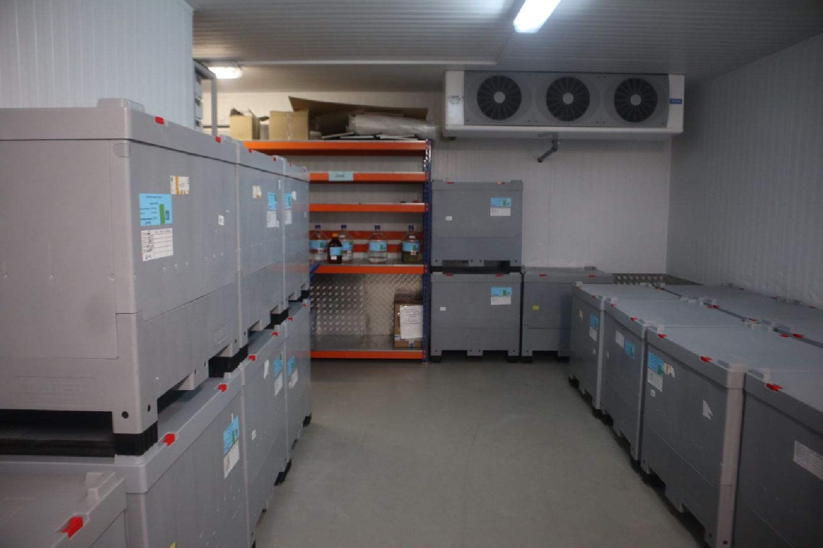 Пущино, медицина, импортозамещение, фонд содействия инновациям