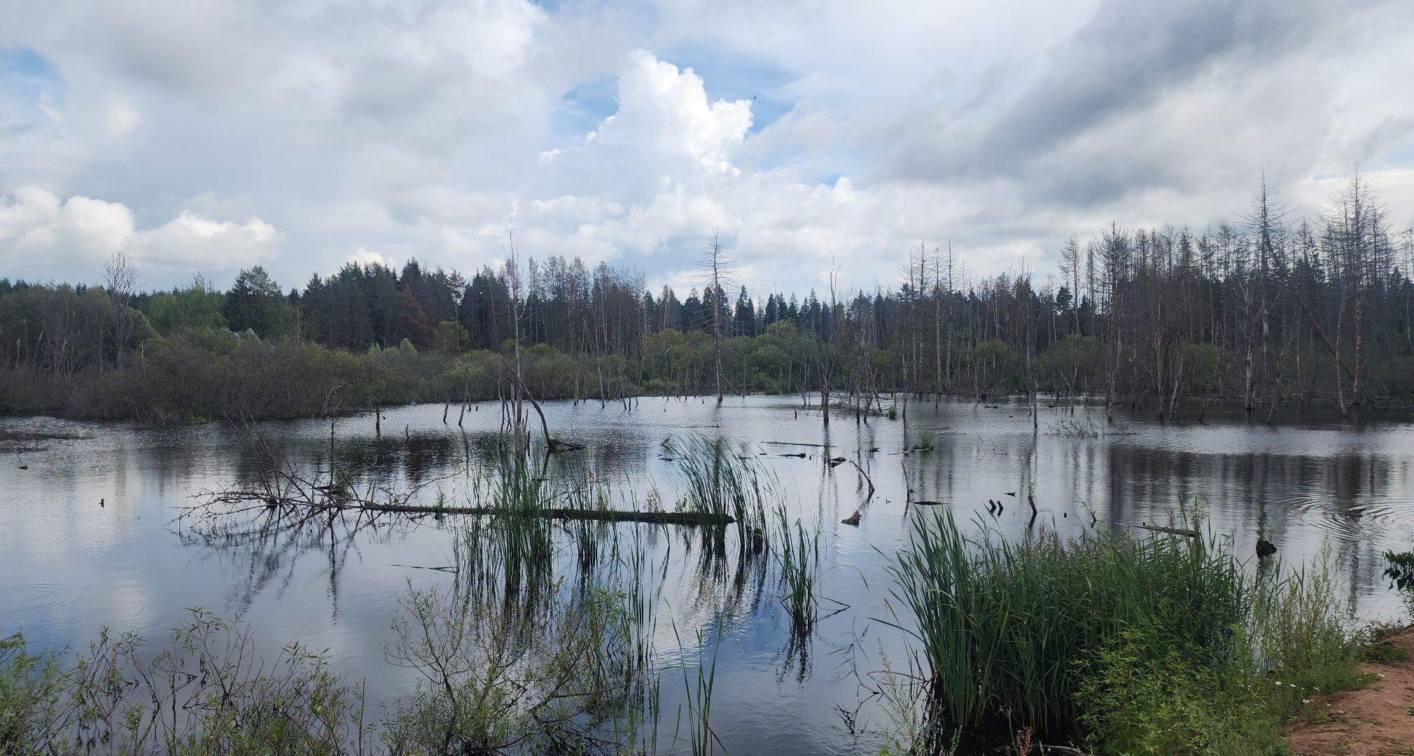 Звенигород, ливневая канализация, Благоустройство,