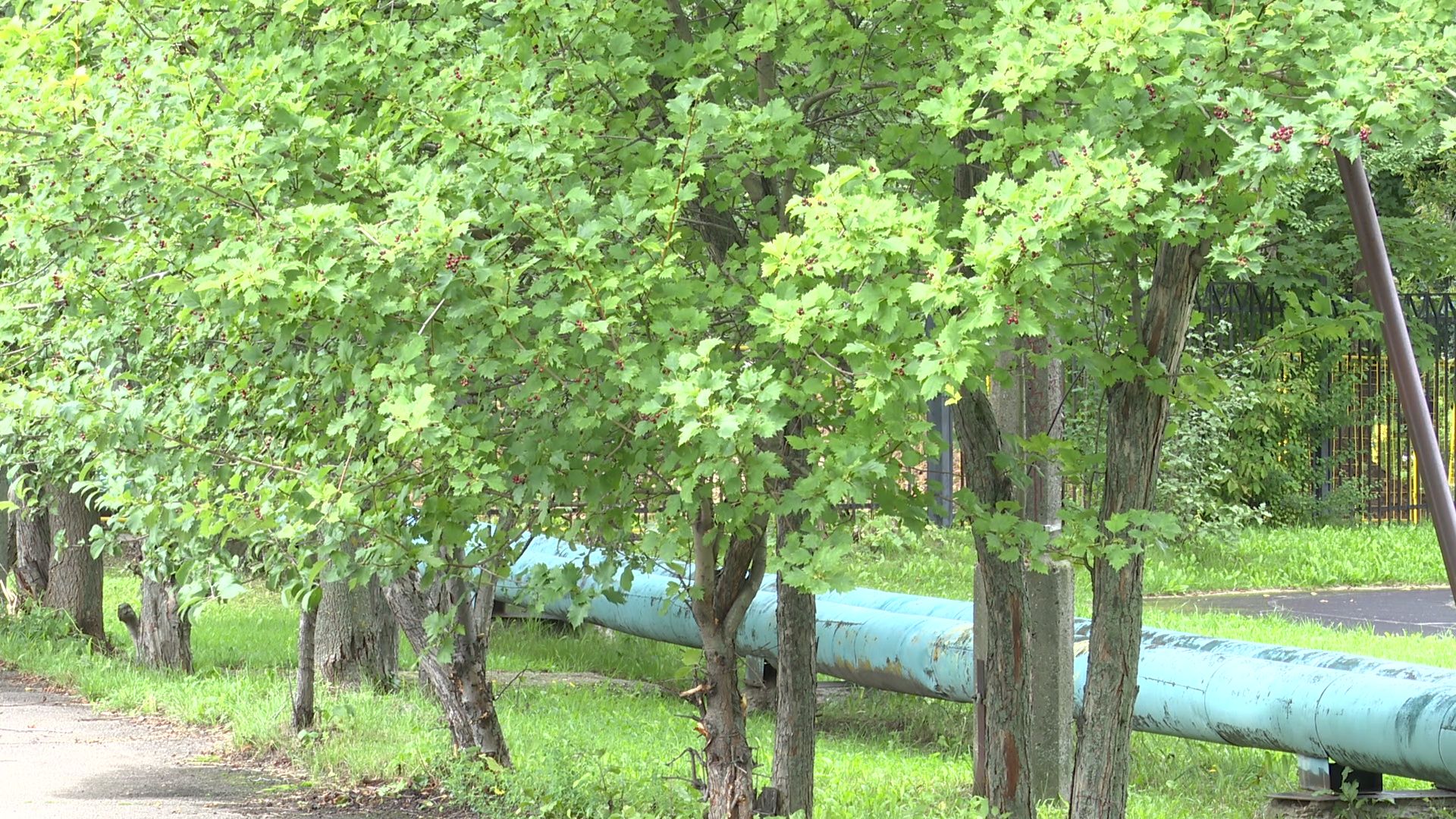 Реутов, реконструкция, теплосеть, трубы, жкх,