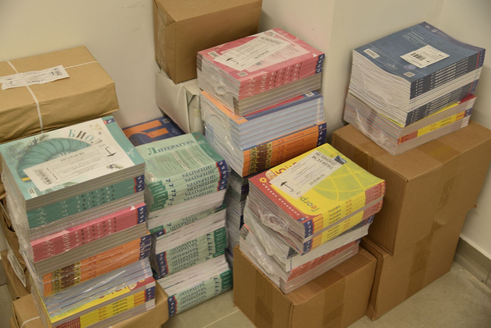 лотошино, лотошинская школа 1, образование, книги, новый учебный год 2024,