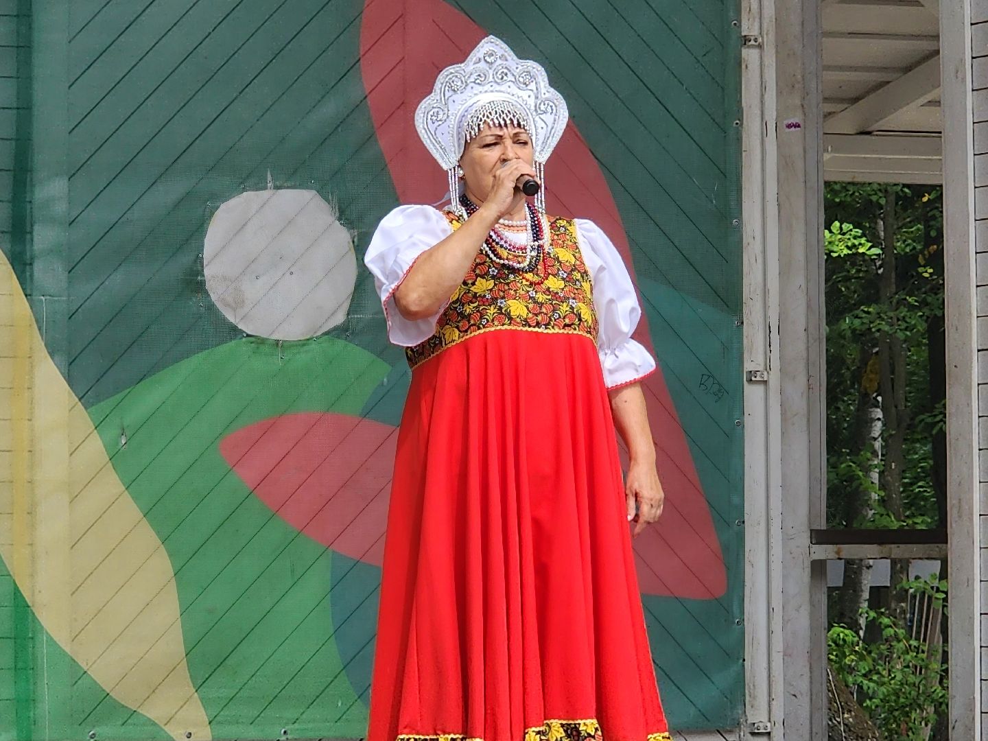 пушкино, волонтеры,