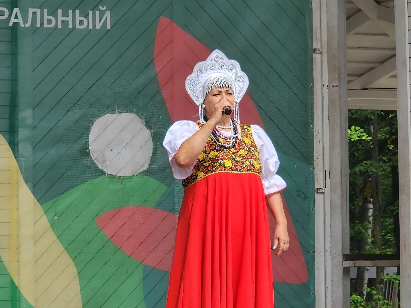 пушкино, волонтеры,