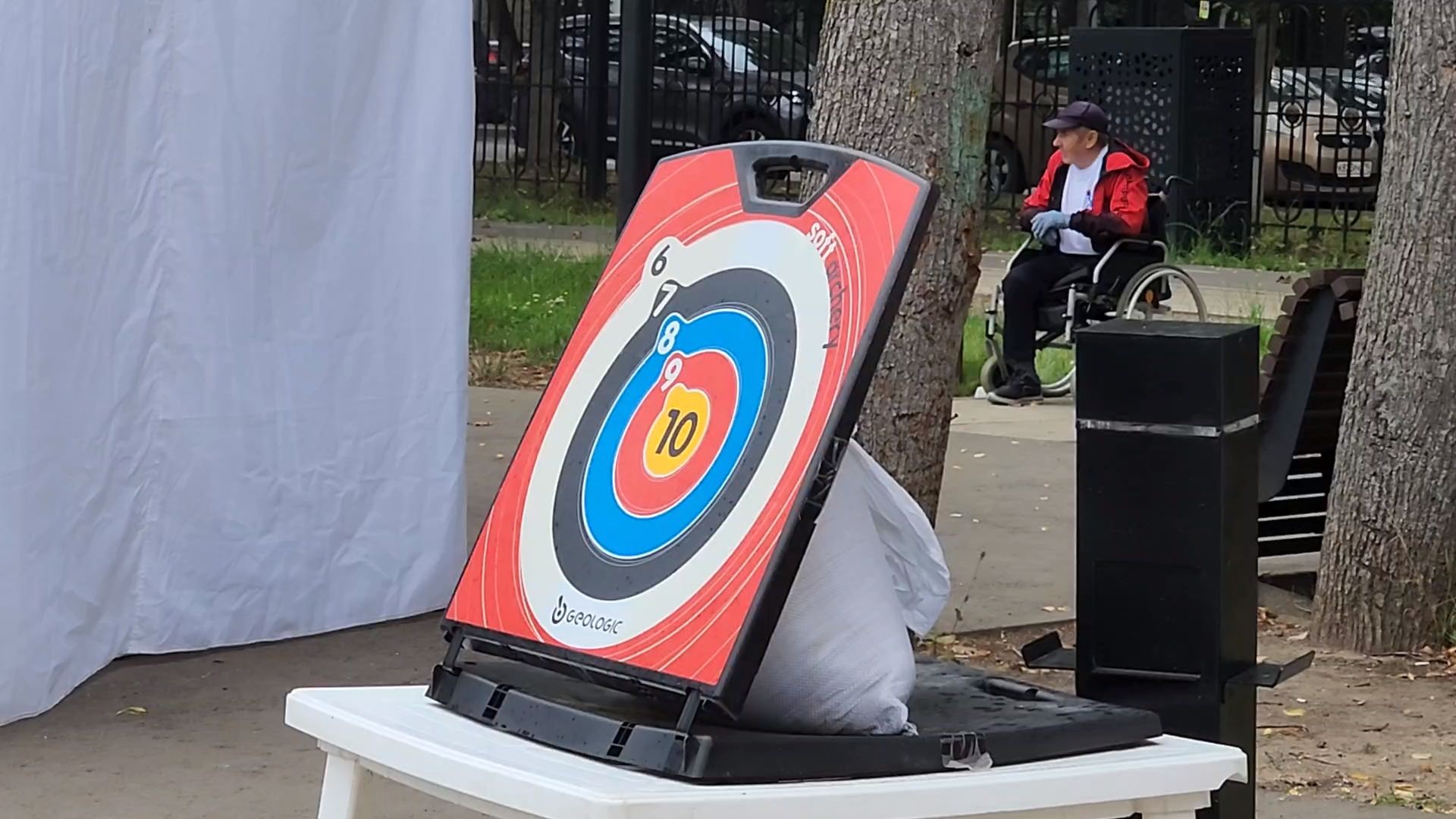 пушкино, волонтеры,