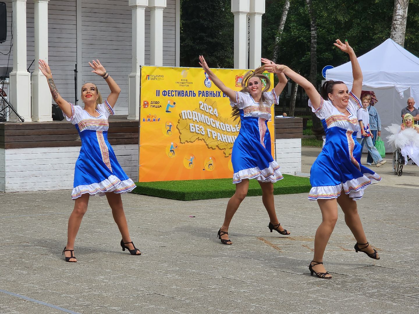 пушкино, волонтеры,