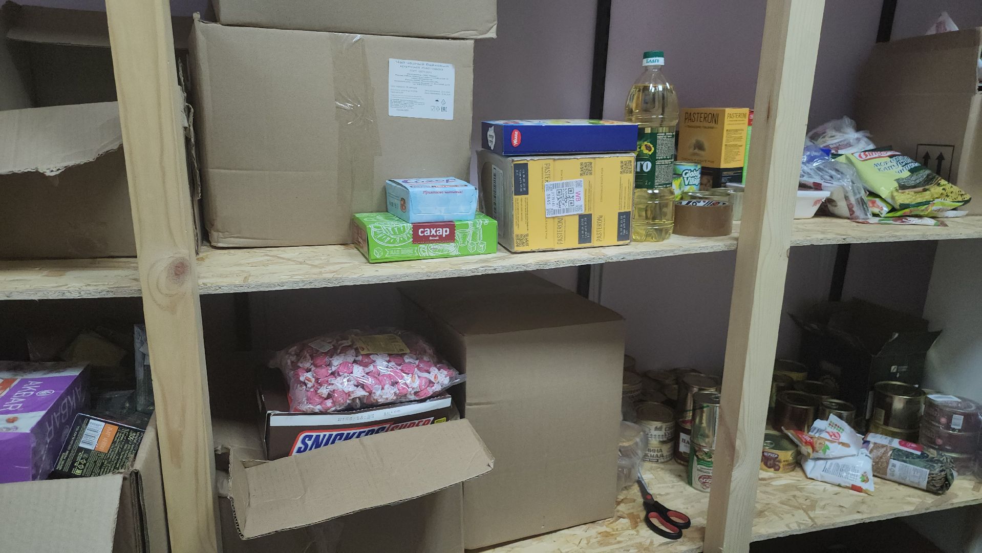 долгопрудный, волонтеры подмосковья, кмц,