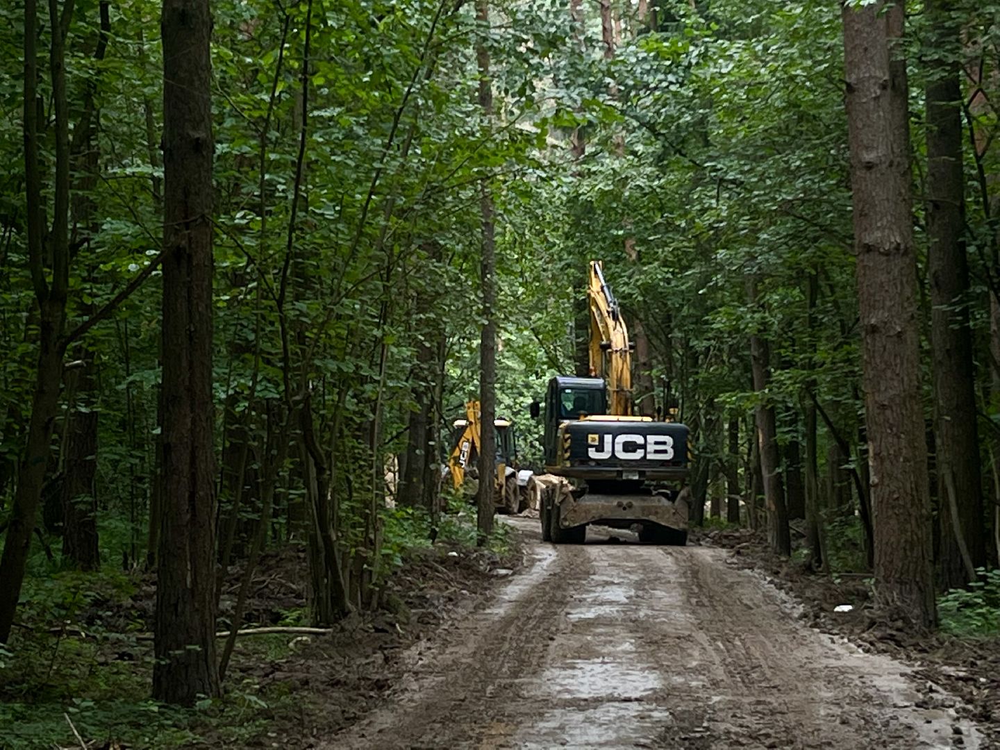 наро-фоминский городской округ, апрелевка, лесопарк дубки, благоустройство 2024, парки в лесу,