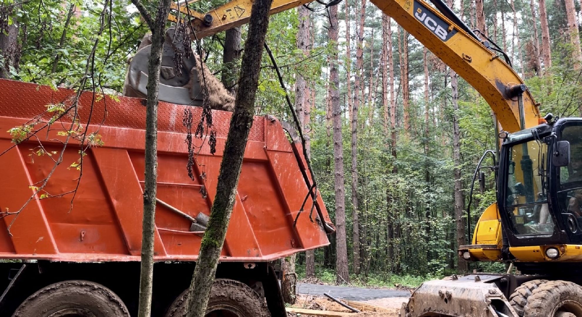 наро-фоминский городской округ, апрелевка, лесопарк дубки, благоустройство 2024, парки в лесу,