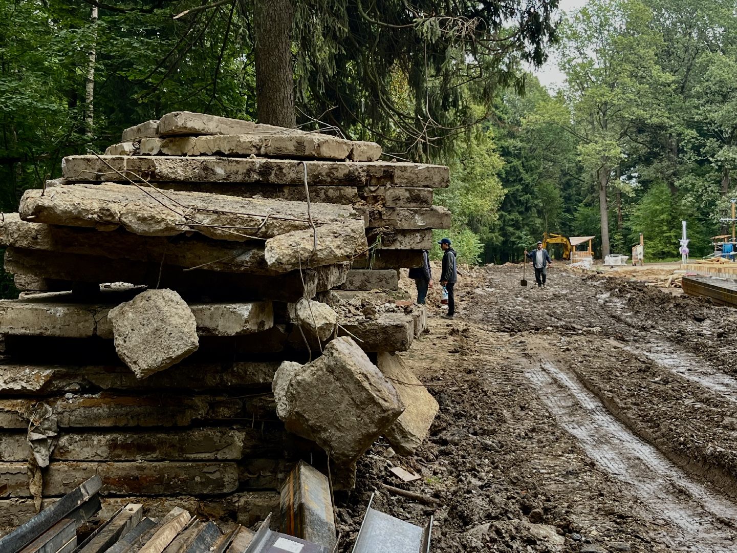 наро-фоминский городской округ, апрелевка, лесопарк дубки, благоустройство 2024, парки в лесу,