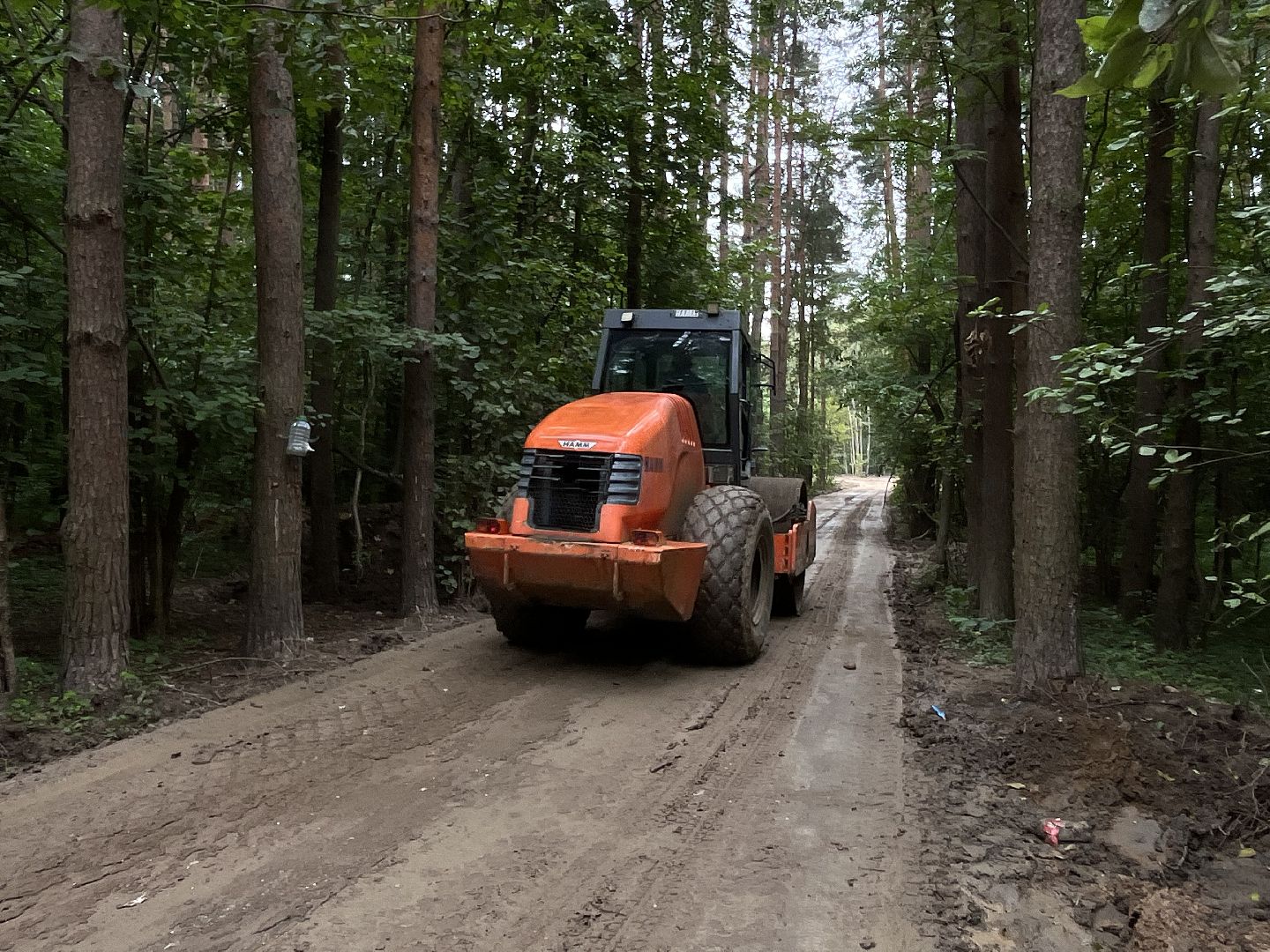 наро-фоминский городской округ, апрелевка, лесопарк дубки, благоустройство 2024, парки в лесу,