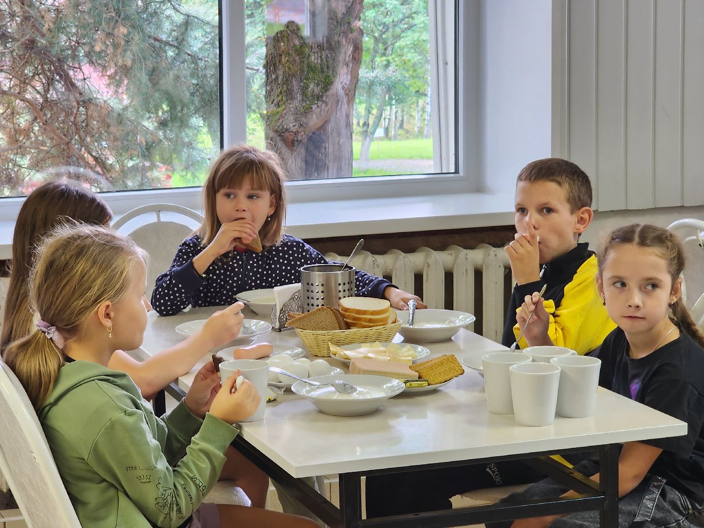 пушкино, лагерь, дети