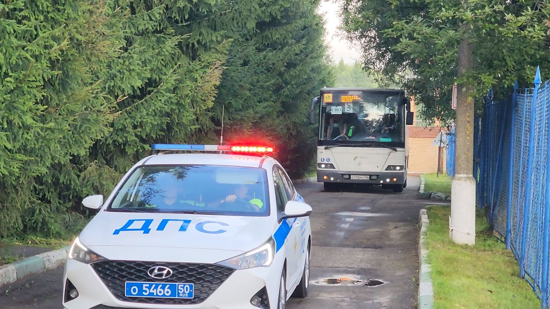 пушкино, лагерь, дети