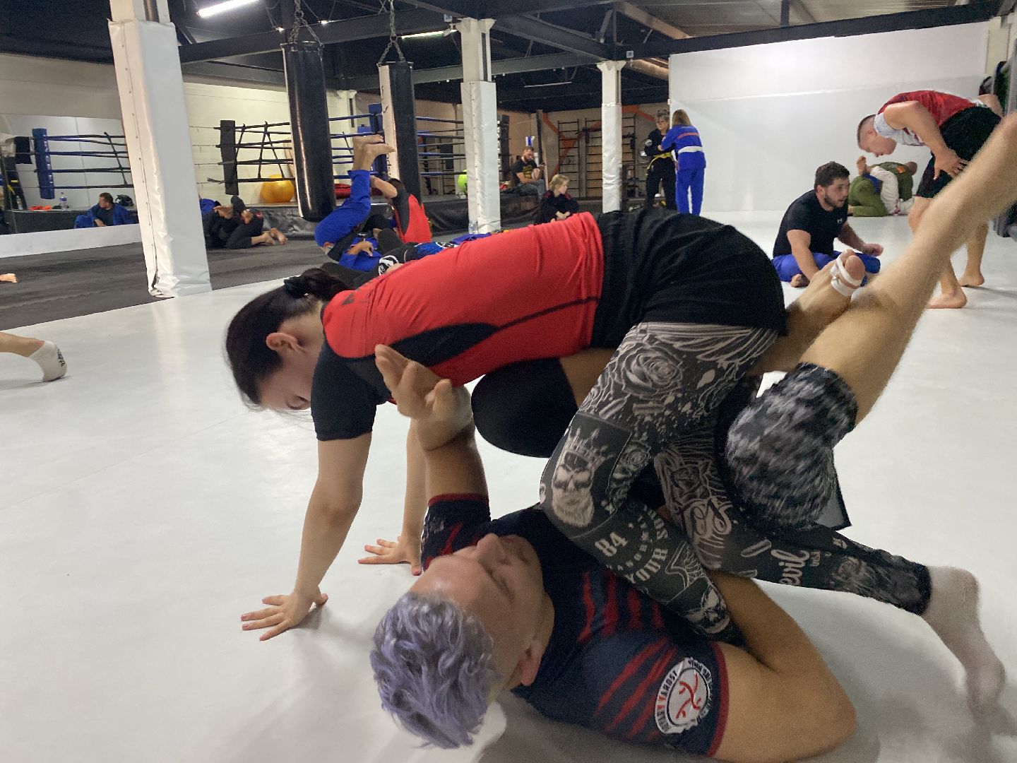 СК Пересвет, спортивный клуб, День борьбы, День физкультурника, Домодедедово, Спорт, Подмосковье,