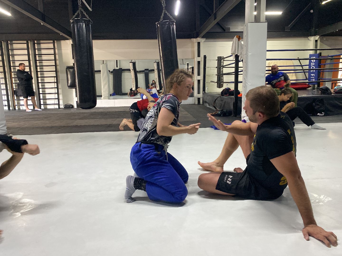 СК Пересвет, спортивный клуб, День борьбы, День физкультурника, Домодедедово, Спорт, Подмосковье,