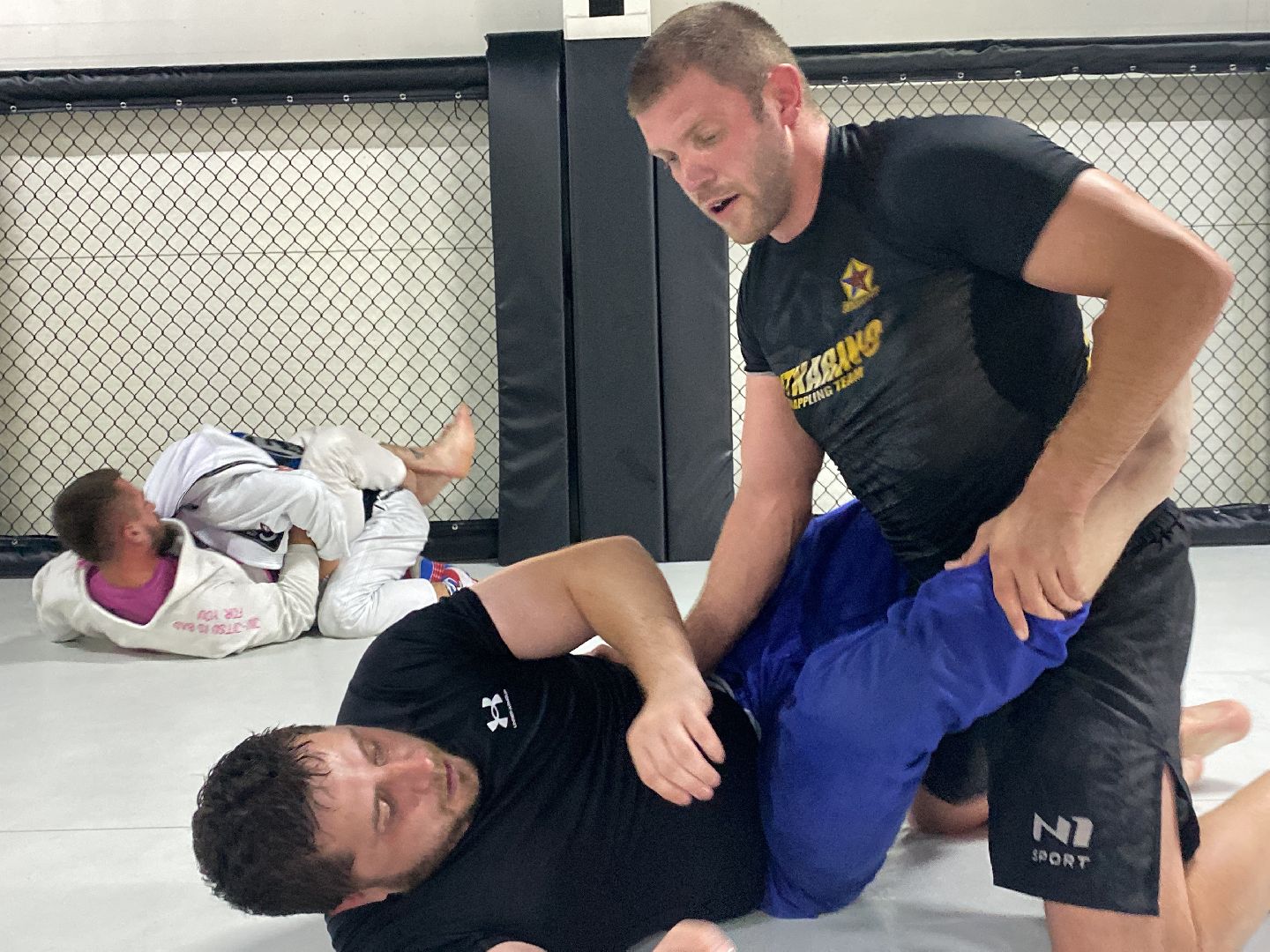 СК Пересвет, спортивный клуб, День борьбы, День физкультурника, Домодедедово, Спорт, Подмосковье,