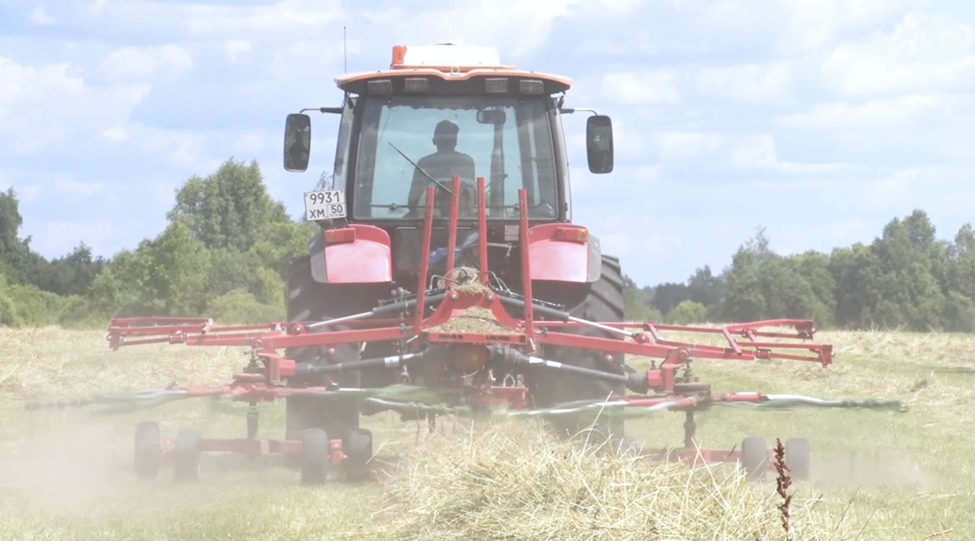 Клин, общество, экономика, сельское хозяйство, животные,