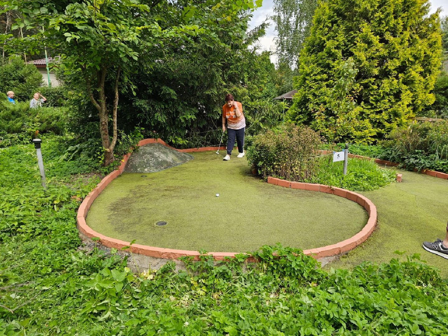 ивантеевка, пушкинский, инвалиды, овз, гольф, спорт, ограниченные возможности,