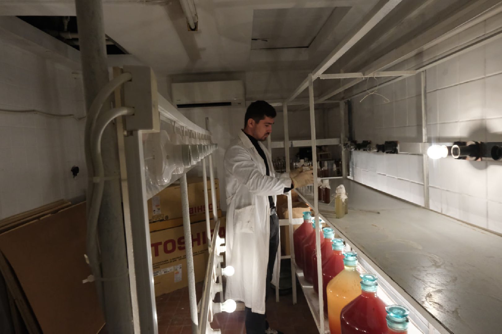 молодые ученые, пущино, серпухов, академия наук,открытия, наука,