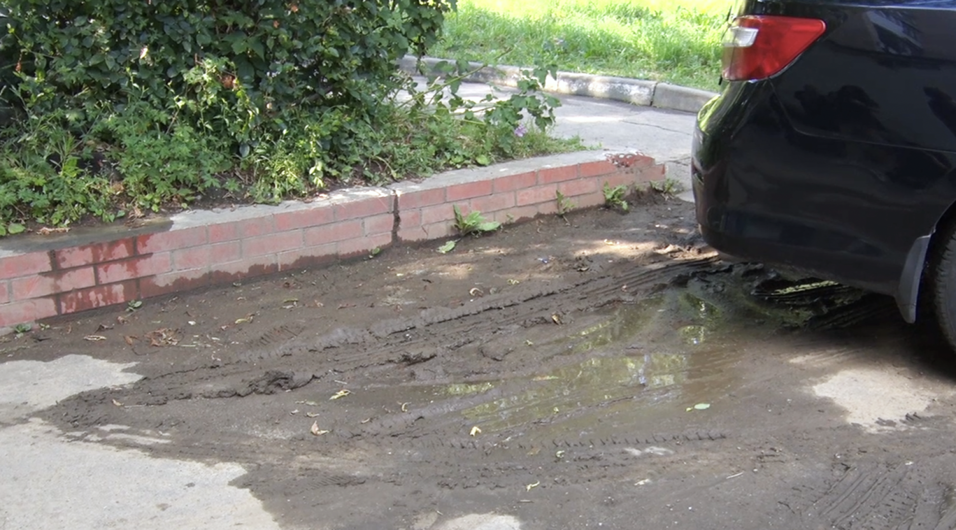 Клин, общество, благоустройство,