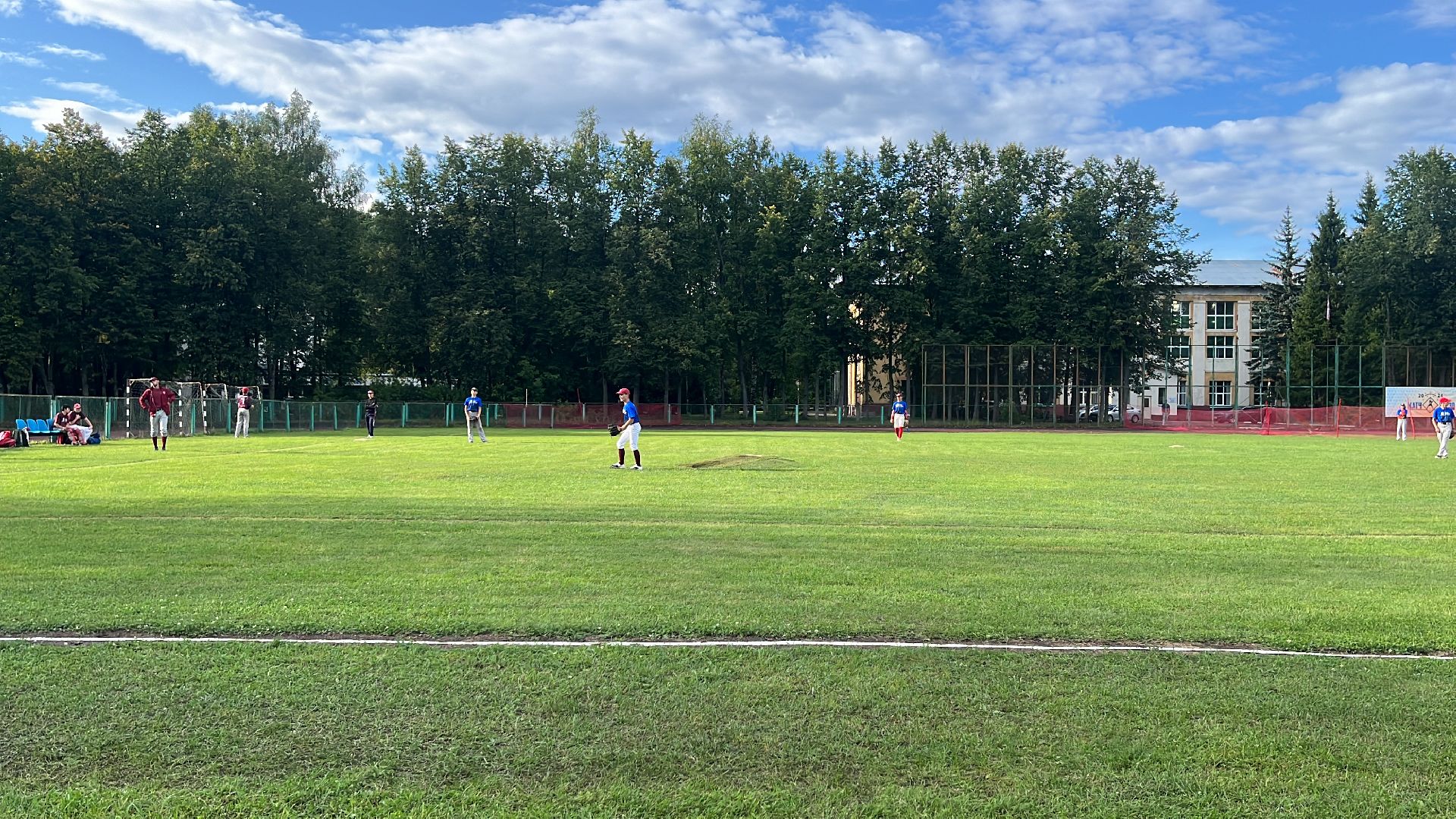спорт, чемпионат, бейсбол, чемпионат по бейсболу,