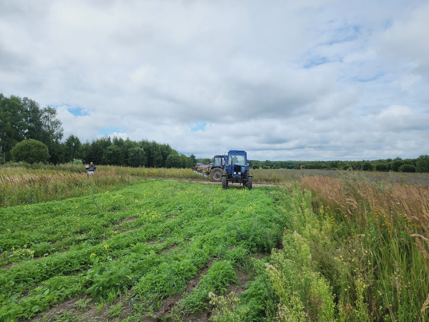 Егорьевск, Подмосковье, Московская область, противопожарная безопасность,