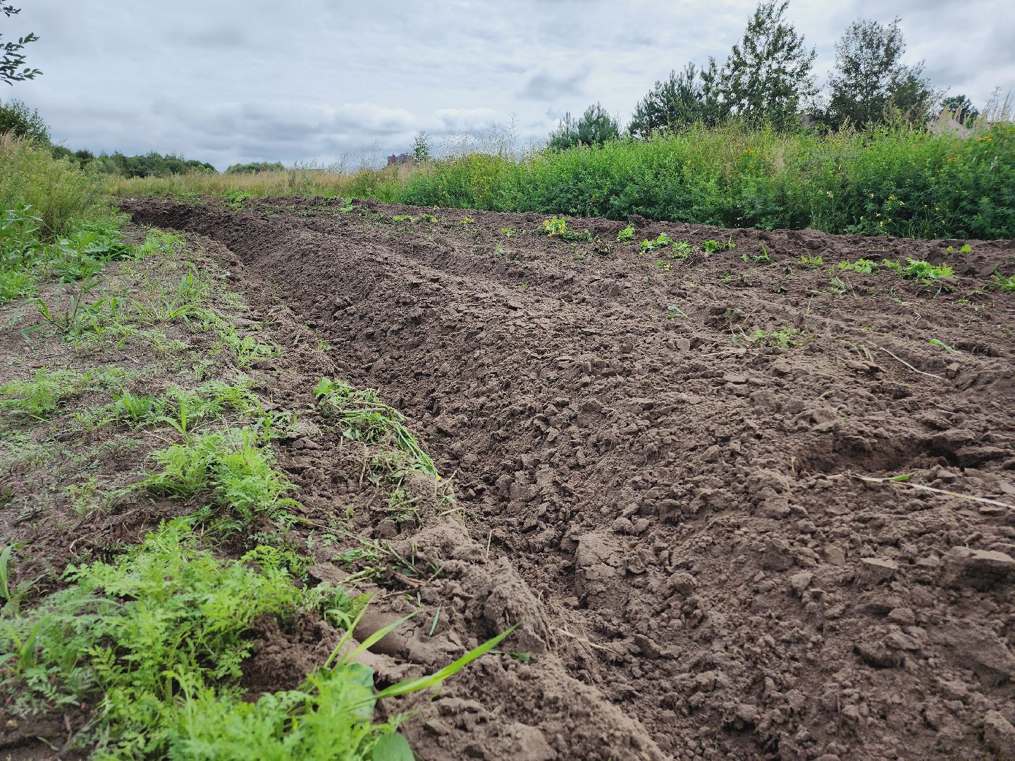 Егорьевск, Подмосковье, Московская область, противопожарная безопасность,
