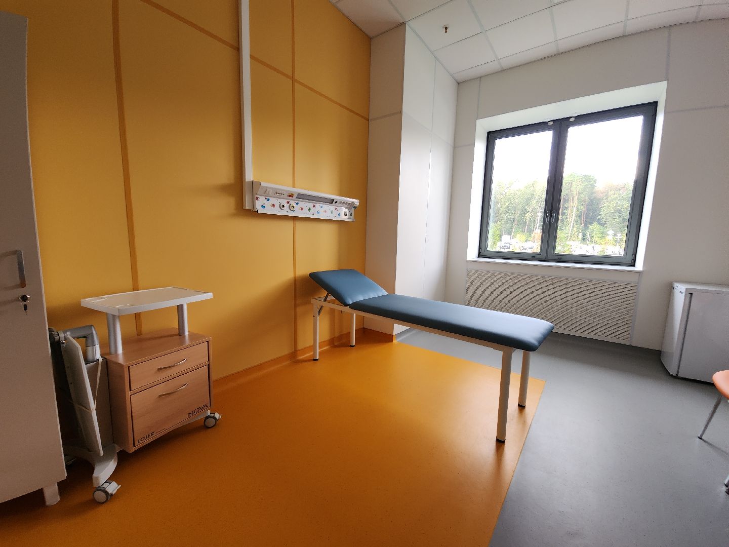 рошаль, детская клинический центр, красногорск, главврач,