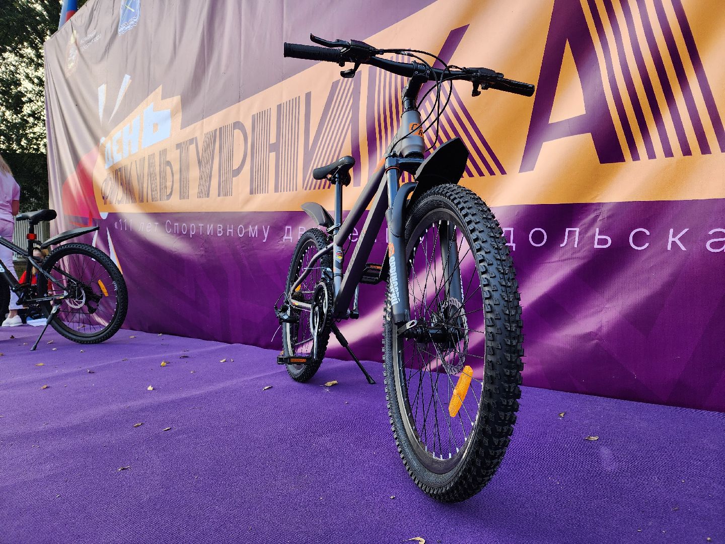 Подольск, день физкультурника, спорт в подмосковье, Парк талалихина,