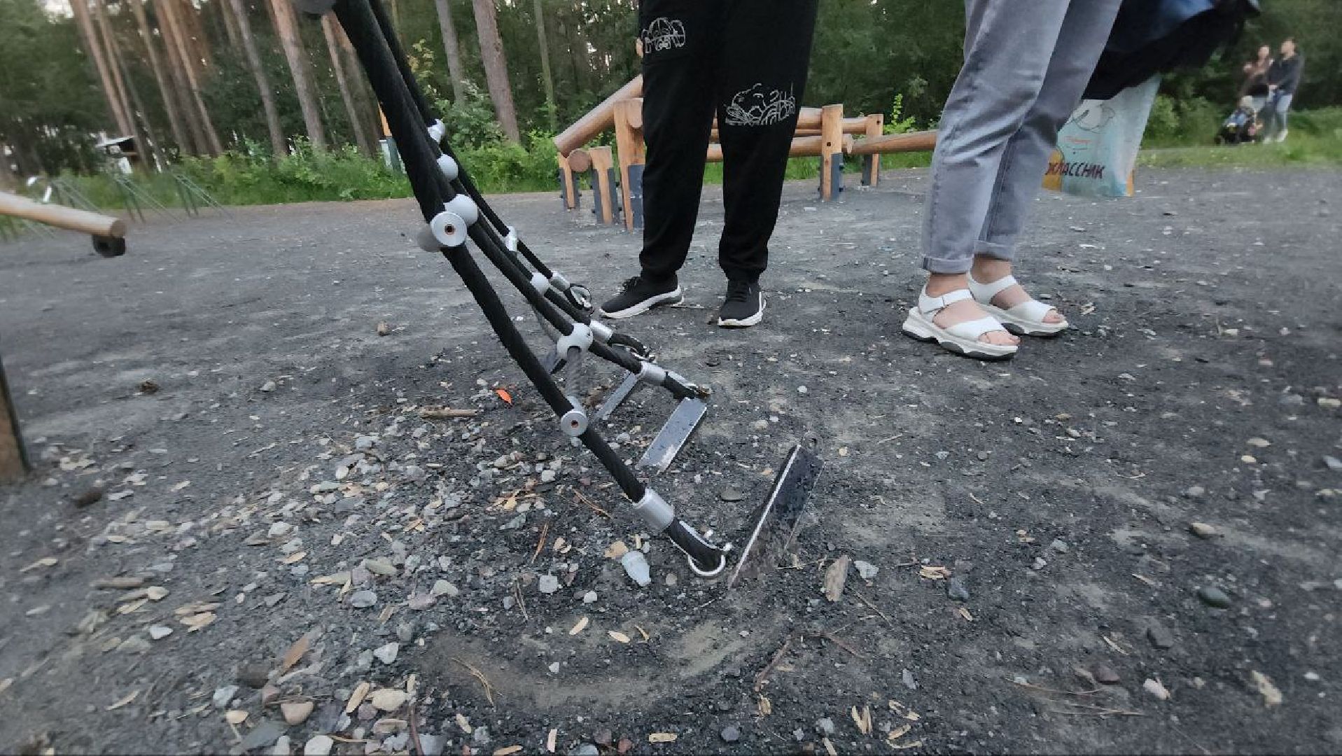 люберцы, глава администрации Люберец Владимир Волков, парк Лесная опушка, выездная администрация,