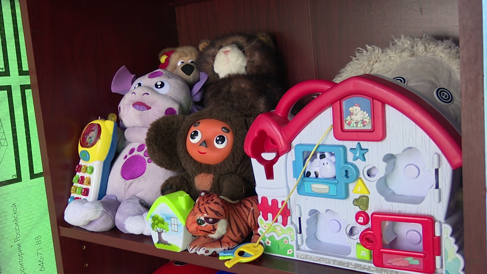 Реутов, экологя, сбор сырья, вторая жизнь, отходы,