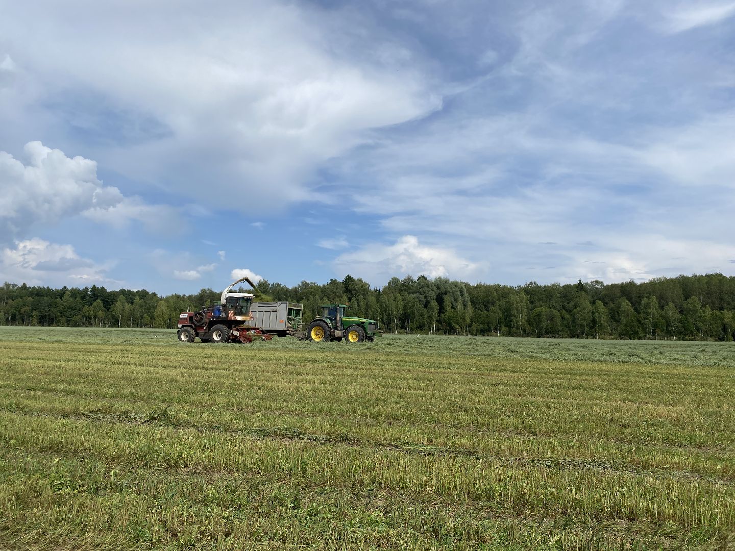 сельское хозяйство, сельскохозяйственное предприятие, совхоз можайский, экономика, экономика подмосковья, можайский городской округ, московская область,