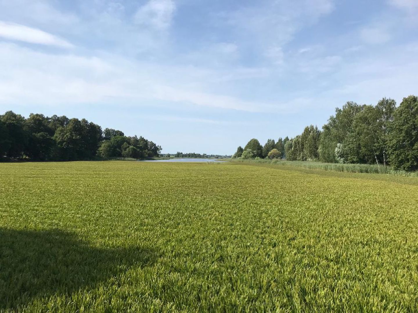 сельское хозяйство, сельскохозяйственное предприятие, совхоз можайский, экономика, экономика подмосковья, можайский городской округ, московская область,