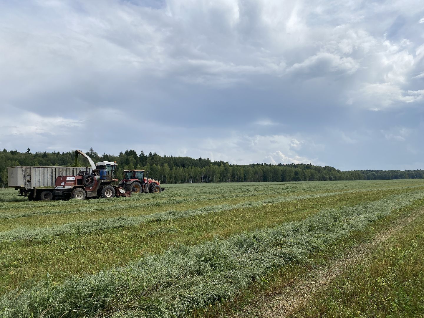 сельское хозяйство, сельскохозяйственное предприятие, совхоз можайский, экономика, экономика подмосковья, можайский городской округ, московская область,