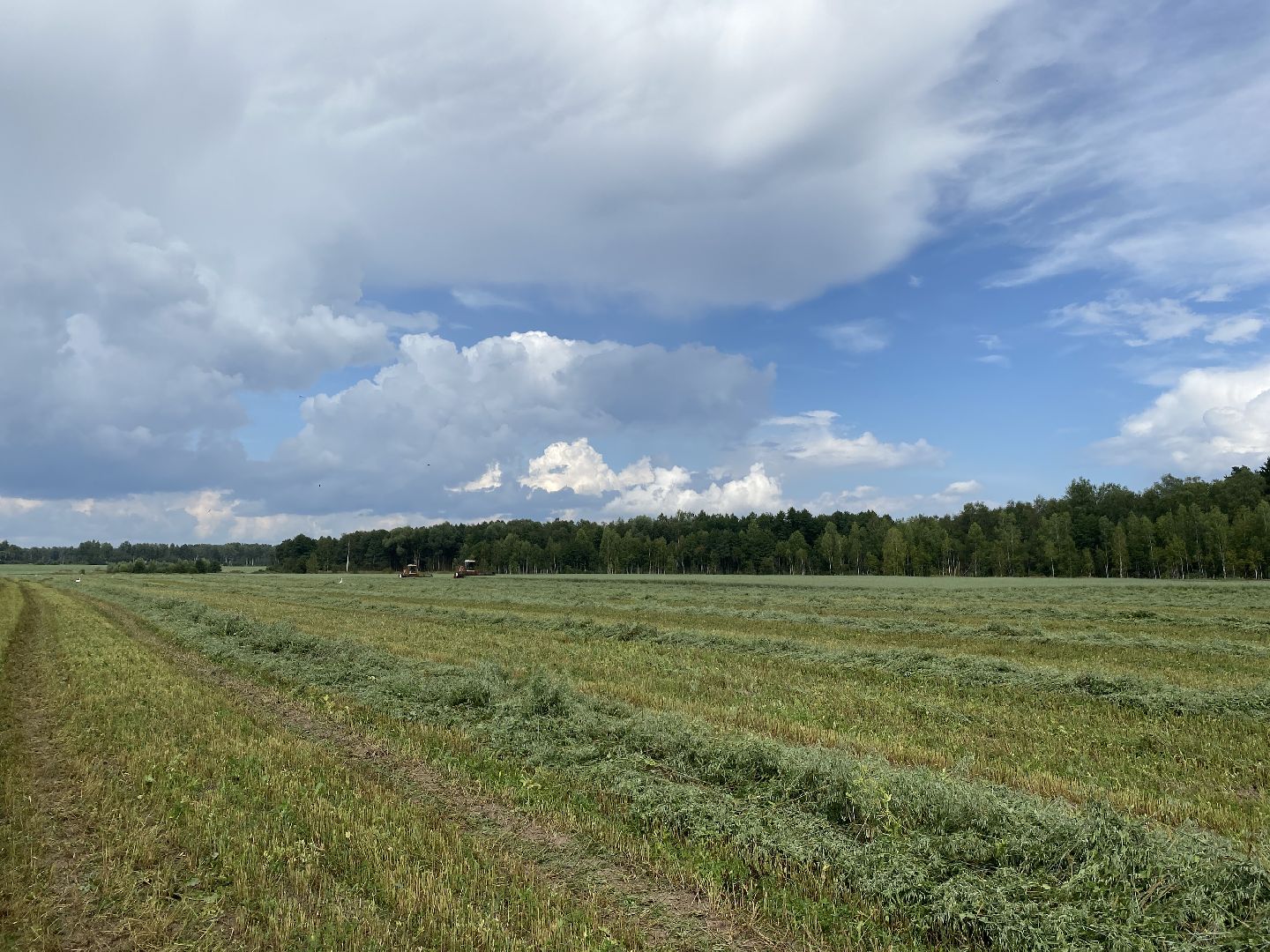 сельское хозяйство, сельскохозяйственное предприятие, совхоз можайский, экономика, экономика подмосковья, можайский городской округ, московская область,