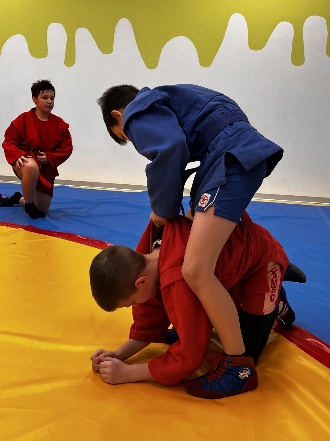 Можайск, общество