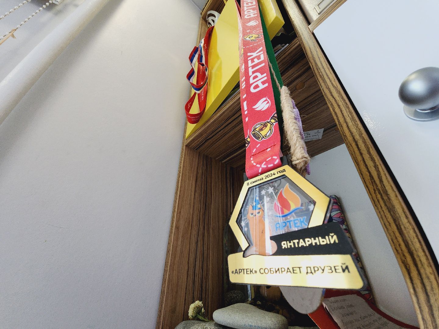 Егорьевск, Артек, Конкурс, победитель, Подмосковье, Московская область,