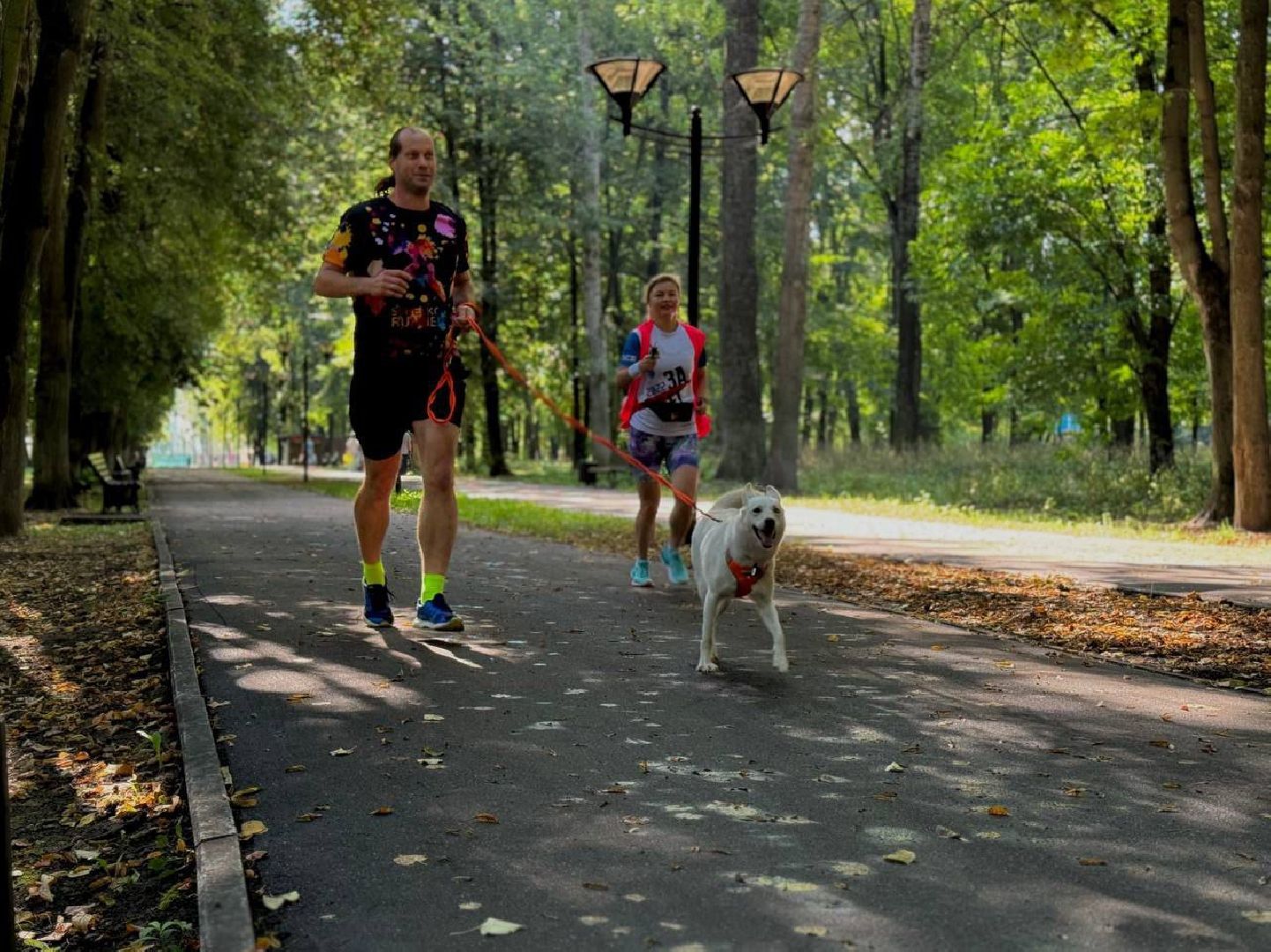 день физкультурника, парк, спорт, забег, тренировка,