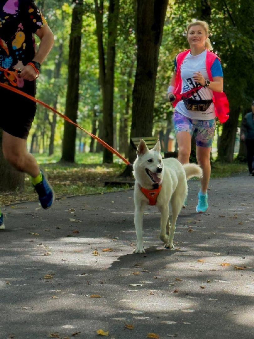 день физкультурника, парк, спорт, забег, тренировка,