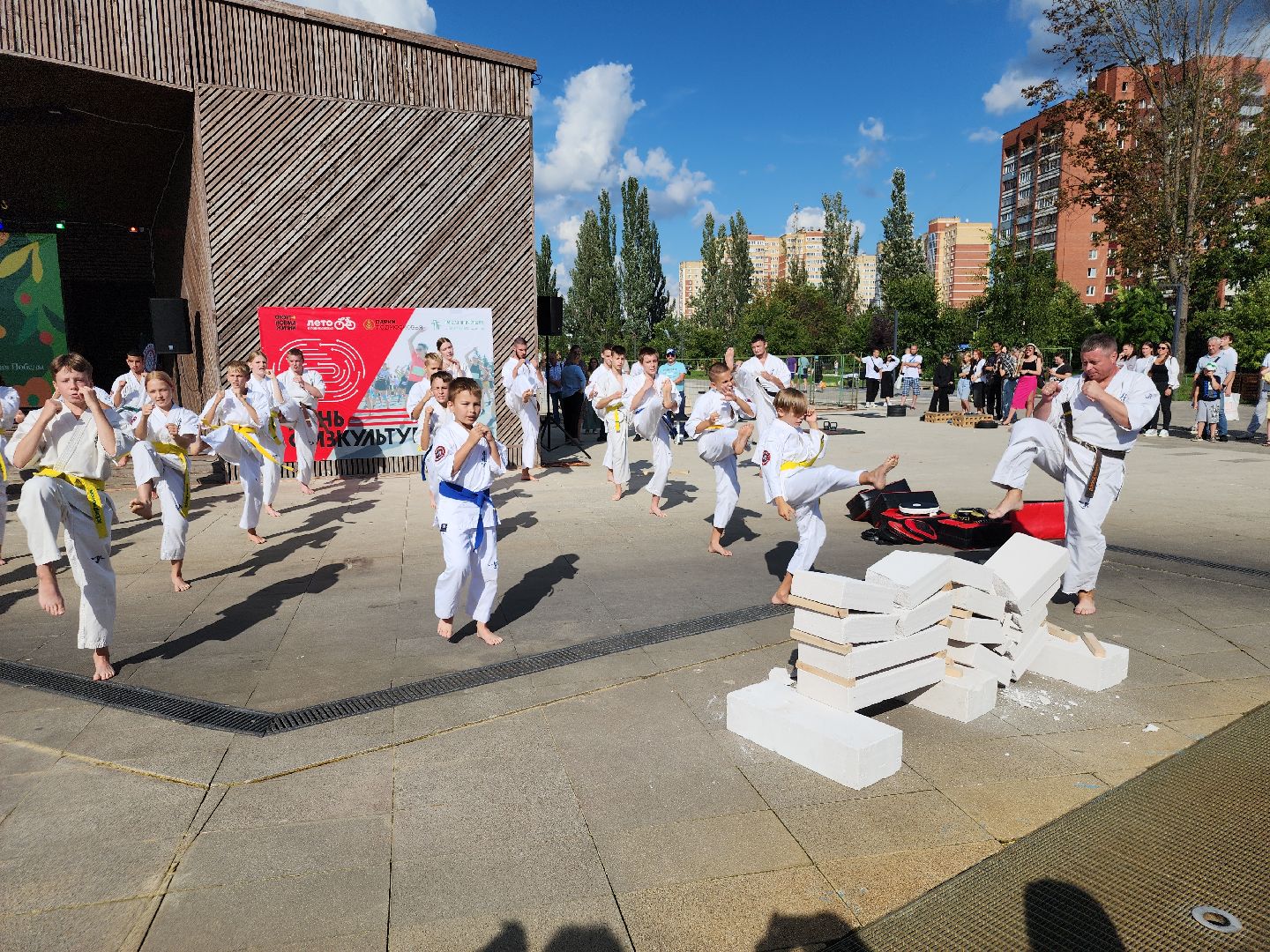 Фестиваль боевых искусств, орехово-зуево,