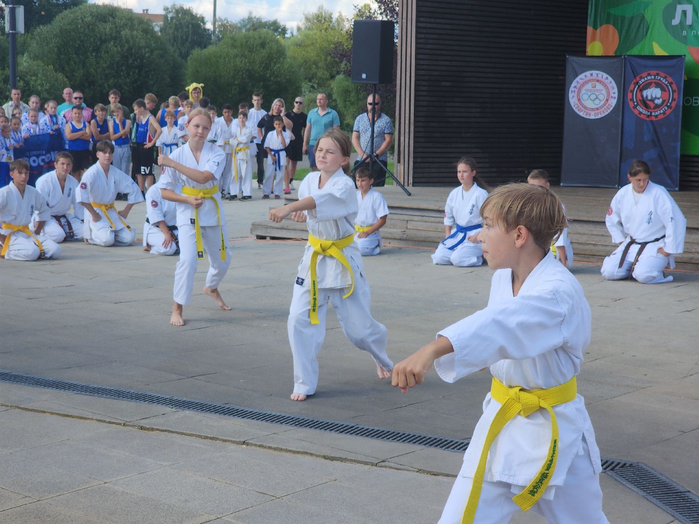 Фестиваль боевых искусств, орехово-зуево,