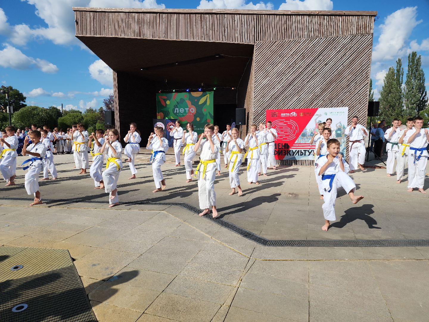 Фестиваль боевых искусств, орехово-зуево,