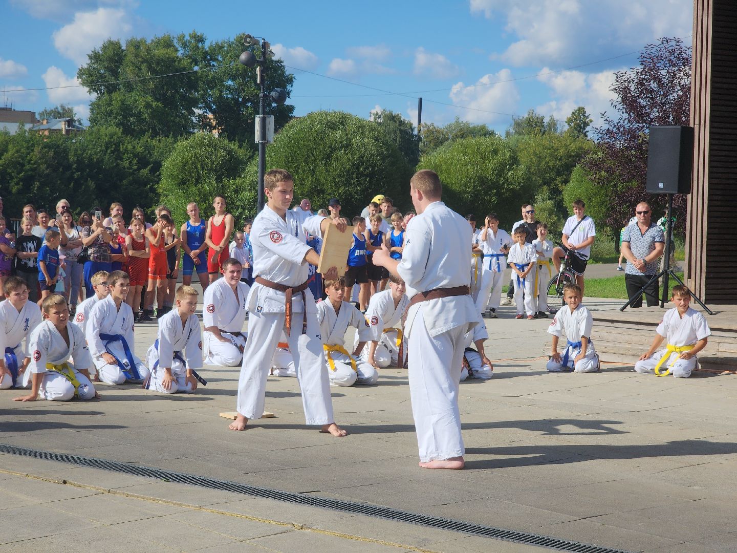 Фестиваль боевых искусств, орехово-зуево,