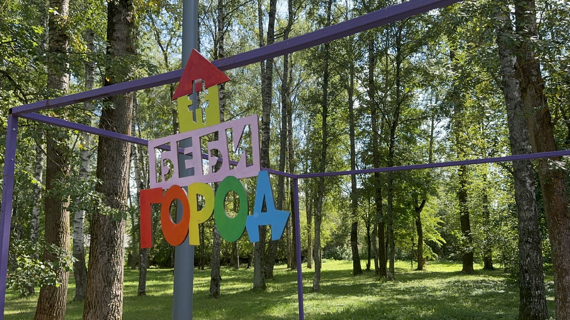 Солнечногорск, Спорт, день физкультурника, жители, Спортсмены,