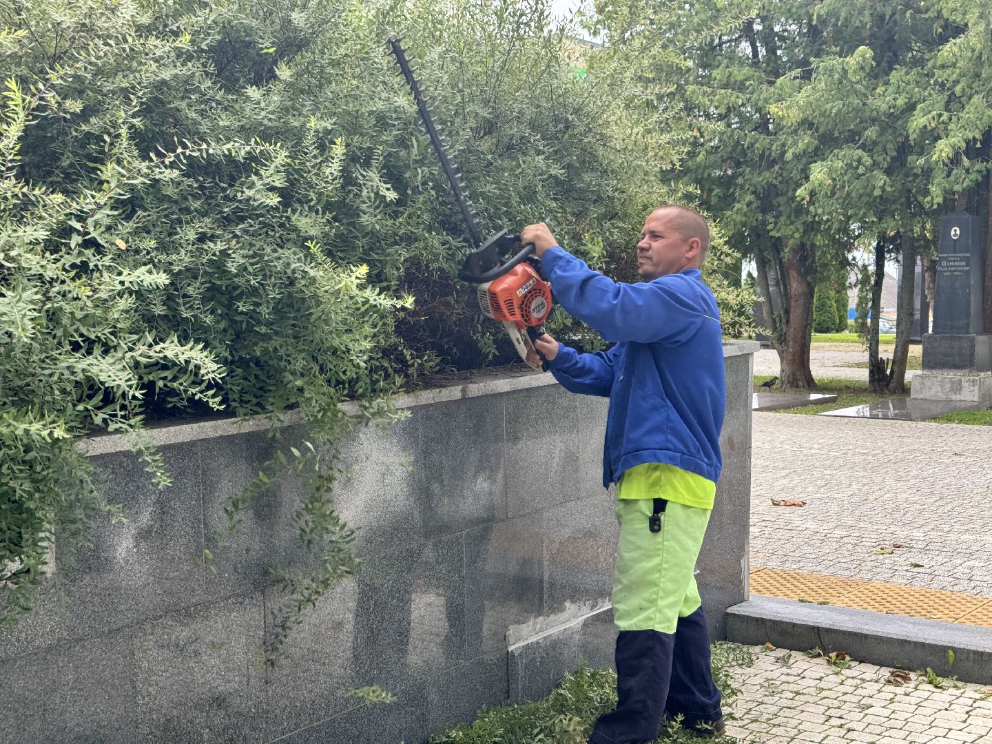 Шаховская, шаховская, благоуйстройство, подрезка кустов,